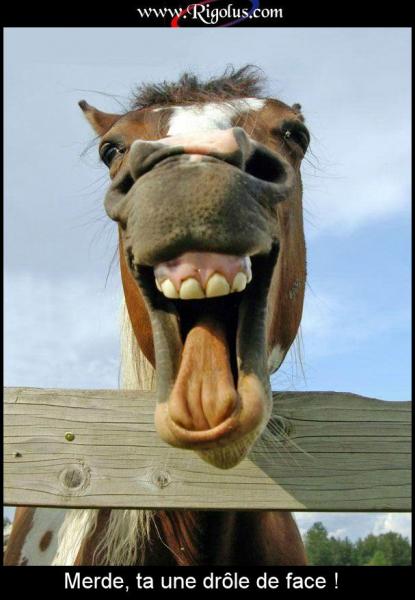 Cheval